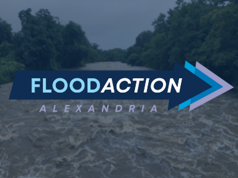 Flood_Action_Alexandria_small_image