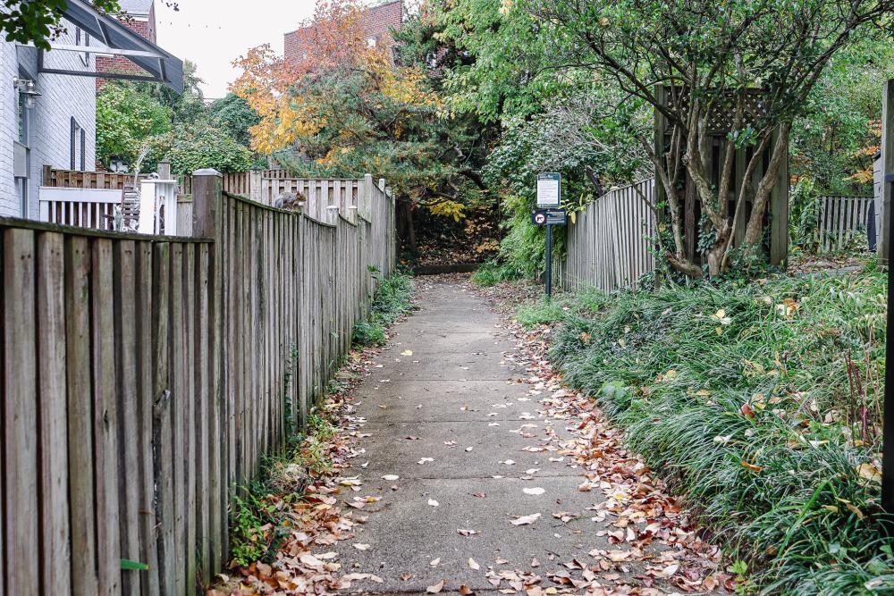 Gentry Park Image 1