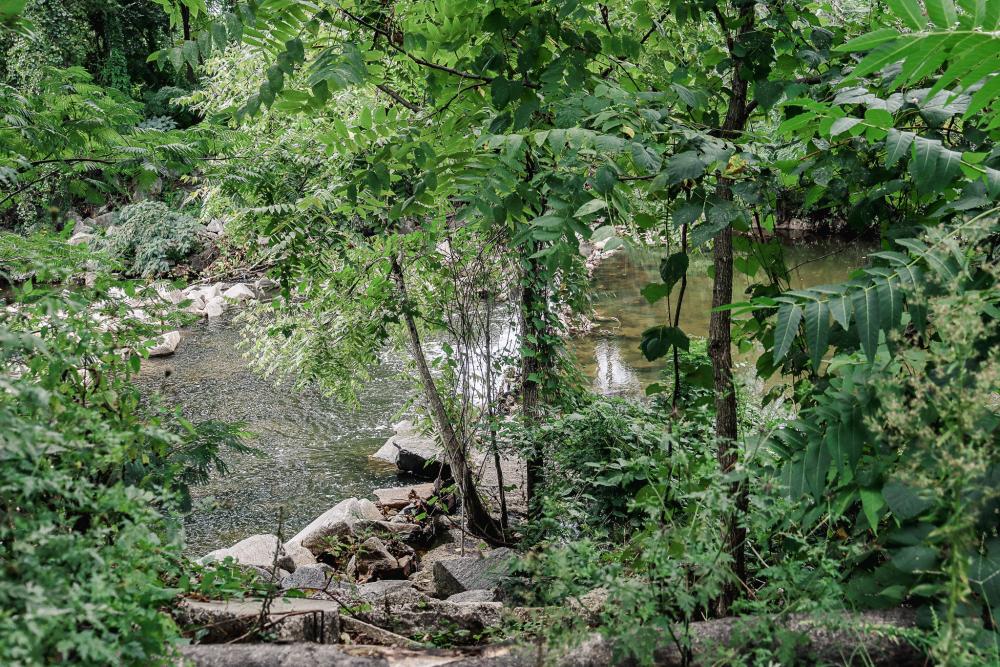 Tarleton Park Image 1
