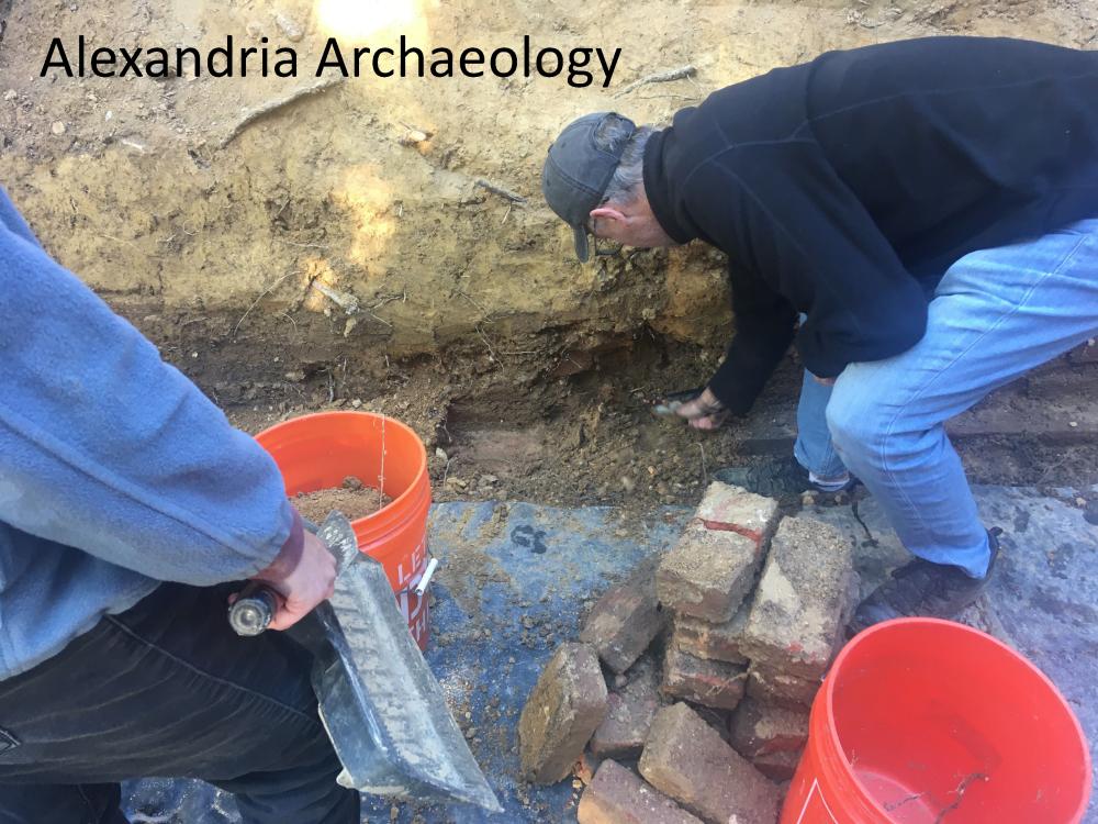 Archaeologists digging