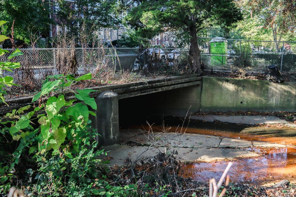 RPCA RO Causeway Park 6