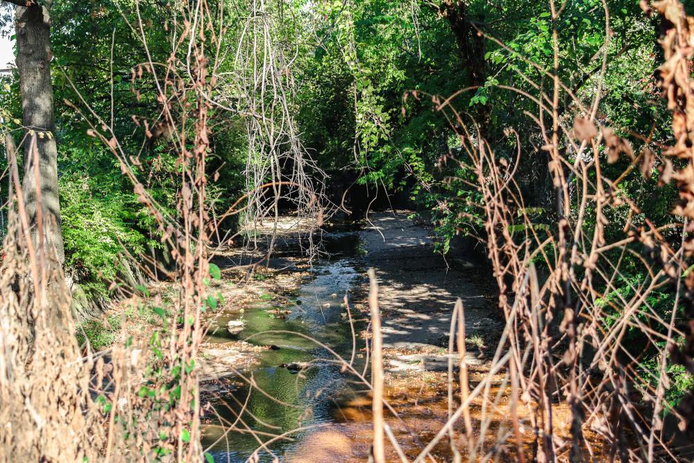 RPCA RO Causeway Park 2