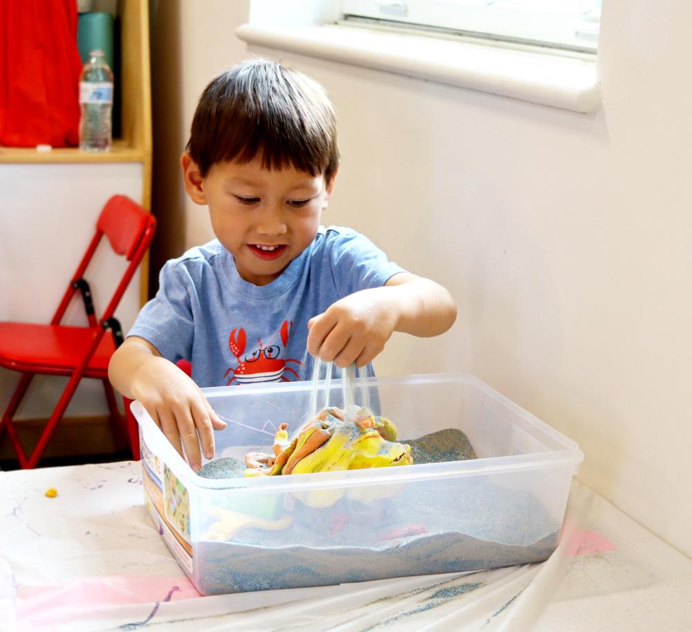 RPCA Science Camp 3 EB