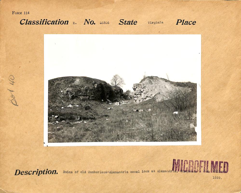 Photo taken in 1929 of what remains of the now dry Alexandria Canal as a cut through a small hill with trash scattered at the bottom and a small tree growing in the middle. 
