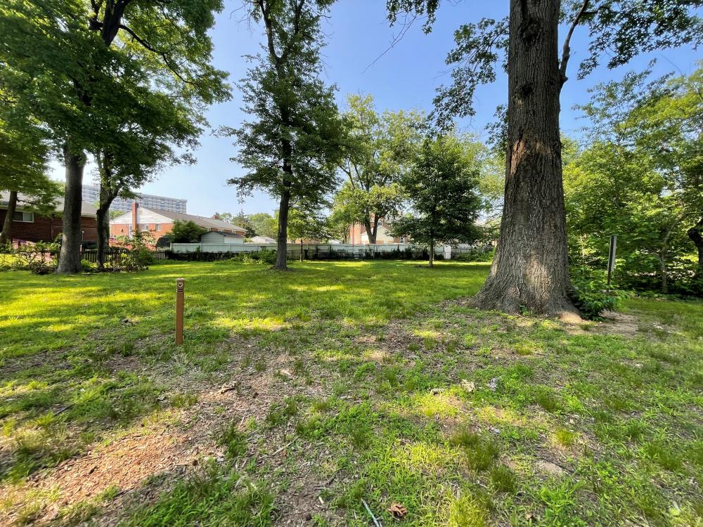 Tarleton Dog Park