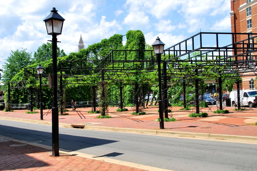 King Street Gardens Hanging Garden