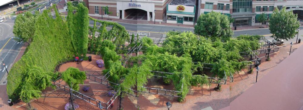 King Street Gardens aerial view