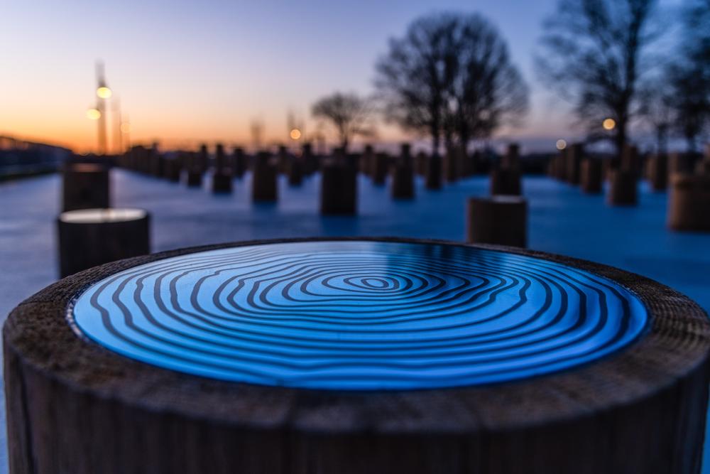 Site See installation public art wood stumps with wood circles on top