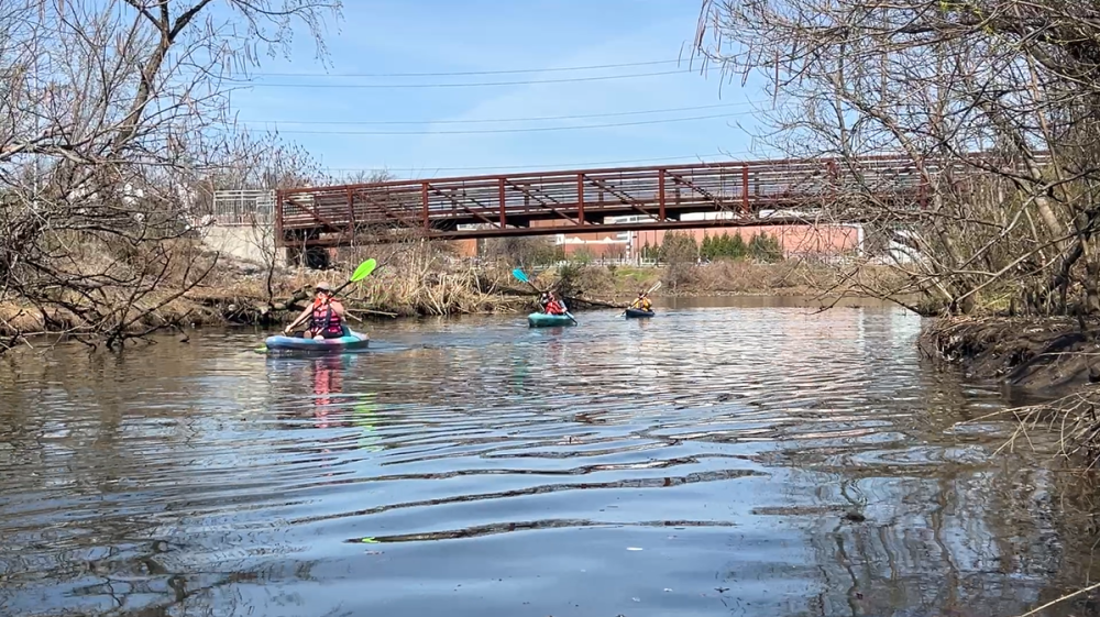 Three kayakers one after the other on the river with paddles, just went under a bridge at Four Mile Run Park