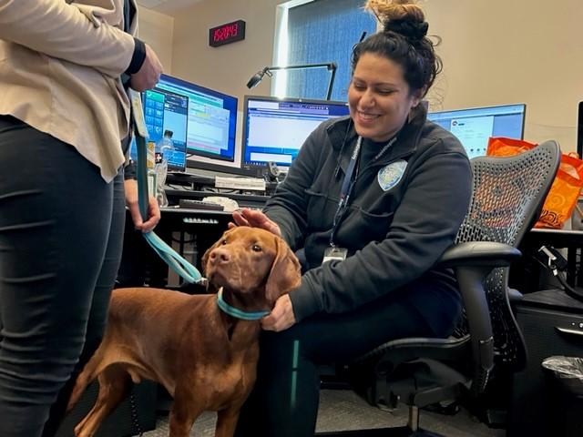 Therapy dog visit 911 floor with call taker