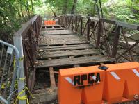 Holmes Run Trail Morgan Cul de Sac