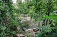 Tarleton Park Image 6