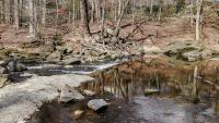 RPCA RO Dora Kelley Nature Park 5