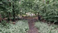 RPCA ROrme Holmes Run Scenic Easement 5