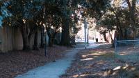 RPCA RO 2022 Mt Ida Greenway 4