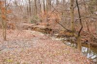 RPCA RO Timberbranch Parkway 6
