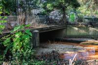 RPCA RO Causeway Park 6