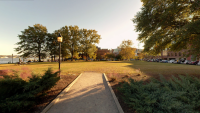 Street-level view of Waterfront Park lawn from King Street Park.