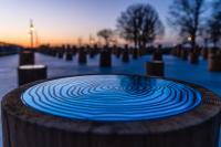 Site See installation public art wood stumps with wood circles on top