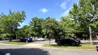 Clifford Park Project Before Construction 4