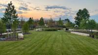 picture of trees and green space at sunset