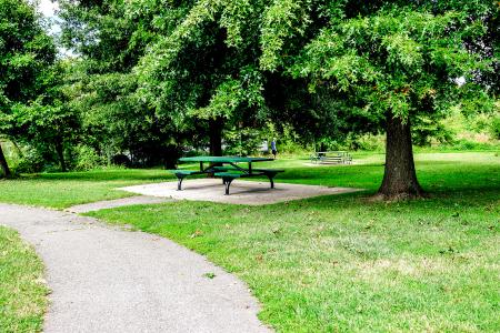 RPCA Ben Brenman Park 28 Picnic Bench Webbox