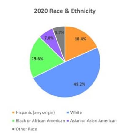 2020 Race & Ethnicity piechart