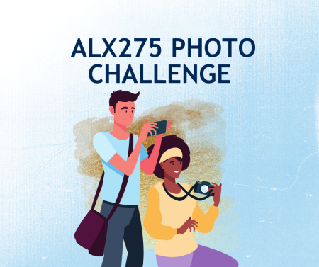 ALX275 Photo Challenge Image