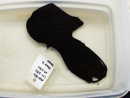 A leather shoe sits in a tub with its artifact tag while in the process of being conserved.