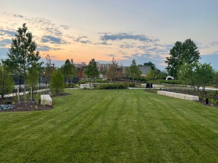 North Potomac Yard Park Lawn Area