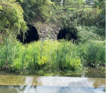 Eisenhower Lake Cook