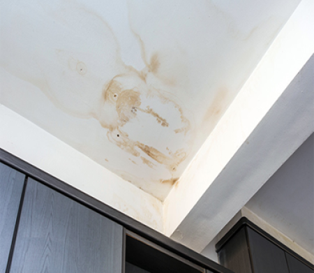 reddish, stroke-like mold on a ceiling