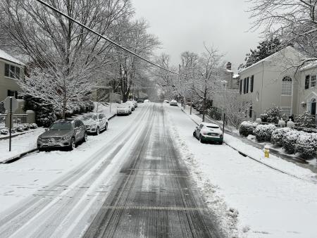 A street with a 8' path cleared in the snow.