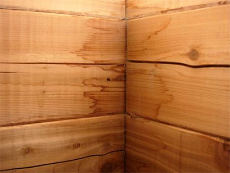 Water Damage on Wood