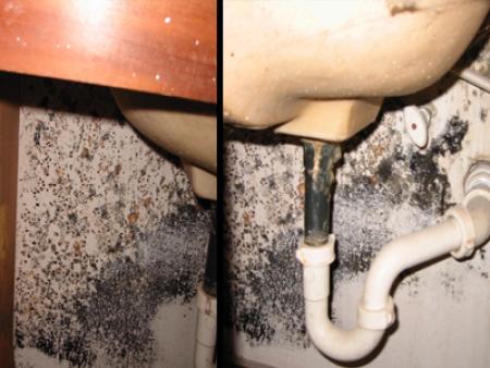 Mold on baseboards behind a sink