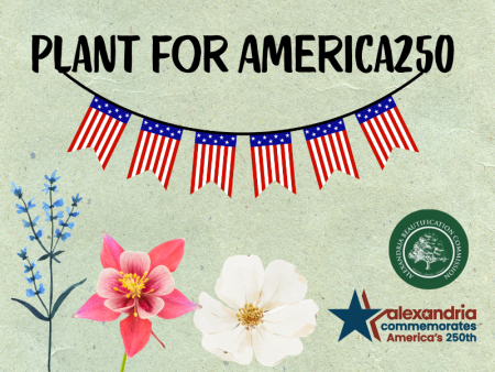 Plant for America250