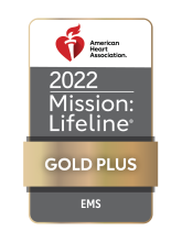 2022 Mission: Lifeline Gold Plus Award seal