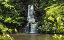 Winkler Botanical Preserve Waterfall 