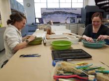 Volunteers wash artifacts with toothbrushes in the Alexandria Archaeology Lab.