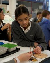 Students create models of tree ring samples during the Ship Science program.