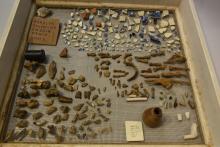 Washed and cleaned artifacts from the Shuter's Hill Site (44AX175) are sorted in the drying screen according to material type: ceramics, nails and other iron objects, window glass, bottle glass, animal bone, and personal items like pipe fragments and buttons.