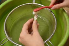 An archaeologist washes a ceramic artifact using water and a toothbrush.
